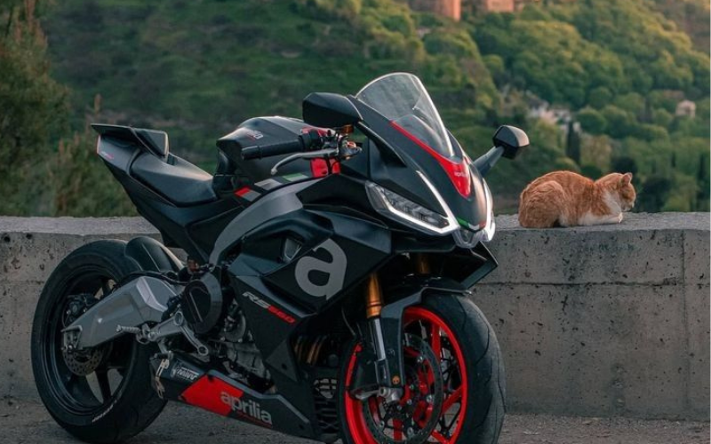 thank you 500 k followers (500 x 500 px) (1000 x 500 px) (28)